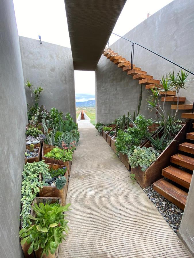 Santulan Bed & Breakfast Valle de Guadalupe Exterior photo